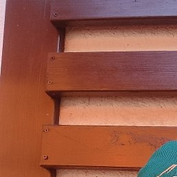 �����, �����-���������, 36 ���