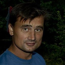 �������, ������, 49 ���