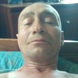 , 54, 
