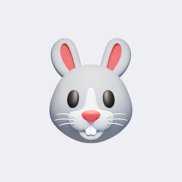 �������, 43 ����, �����������