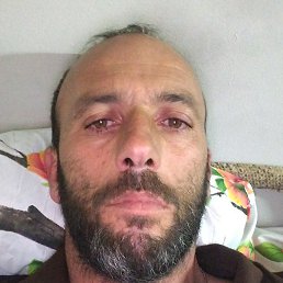 ����, ������, 44 ����