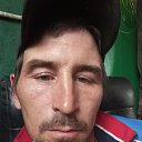 ���� �����, ���, 34 ���� - ��������� 16 ��� 2026 � ������ ���� ����������