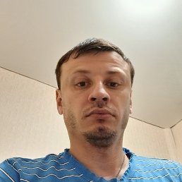 , 29, 