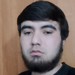 Shohin, ���������, 23 ����