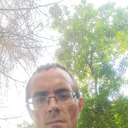 ������, ������ ��������, 40 ���