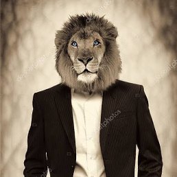 �����, ���������, 42 ����