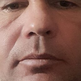 ������, �����, 43 ����