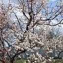 ���� Dmitrii, ���������, 68 ��� - ��������� 19 ������ 2025 � ������ ���� ����������