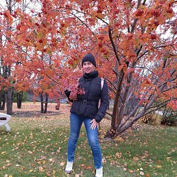 ����, �������, 50 ���