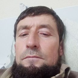 ����, ������, 41 ���