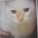 ���� ������, ��������, 49 ��� - ��������� 1 ������� 2024 � ������ ���� ����������