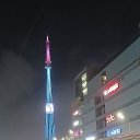 ���� �������, ������ �������� - ��������� 15 ������� 2025 � ������ ������ ��������
