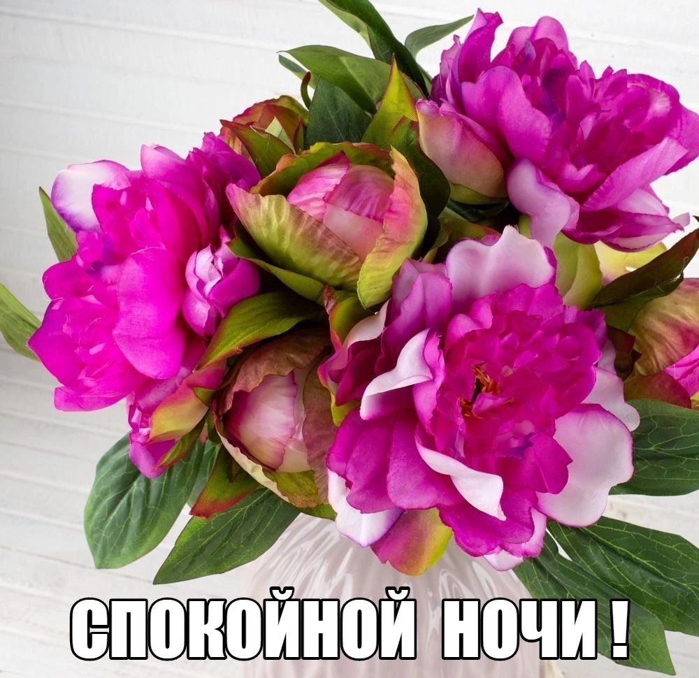   ,    . - 10  2025  21:46