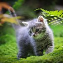 ���� Anna, ������, 24 ���� - ��������� 17 ������� 2024 � ������ ���� ����������