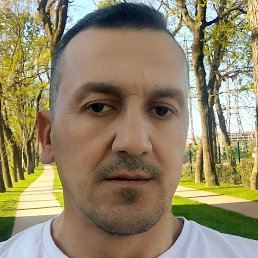 ����, ���������, 44 ����