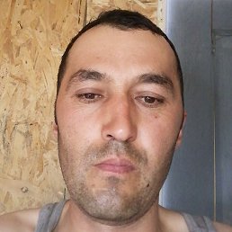 ���������, ������, 41 ���