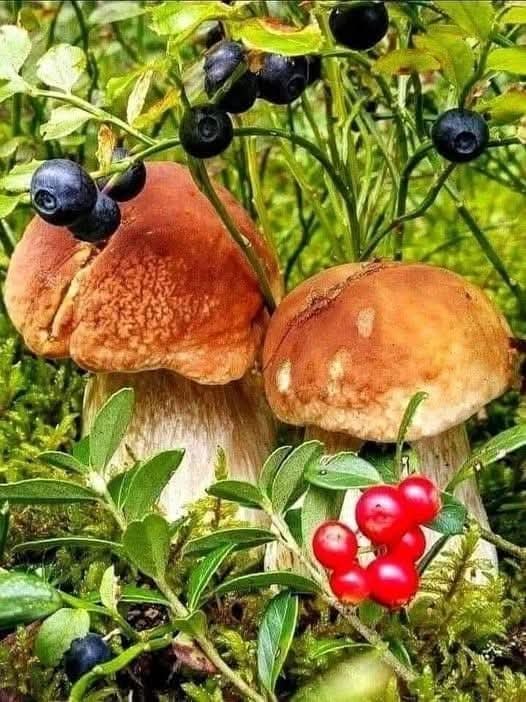 :)  :   ..       . - 3