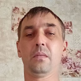 ������, �����������, 41 ���