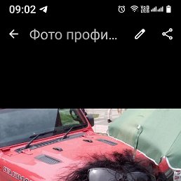 ���� ������, ���������, 56 ��� - ��������� 29 ��� 2025