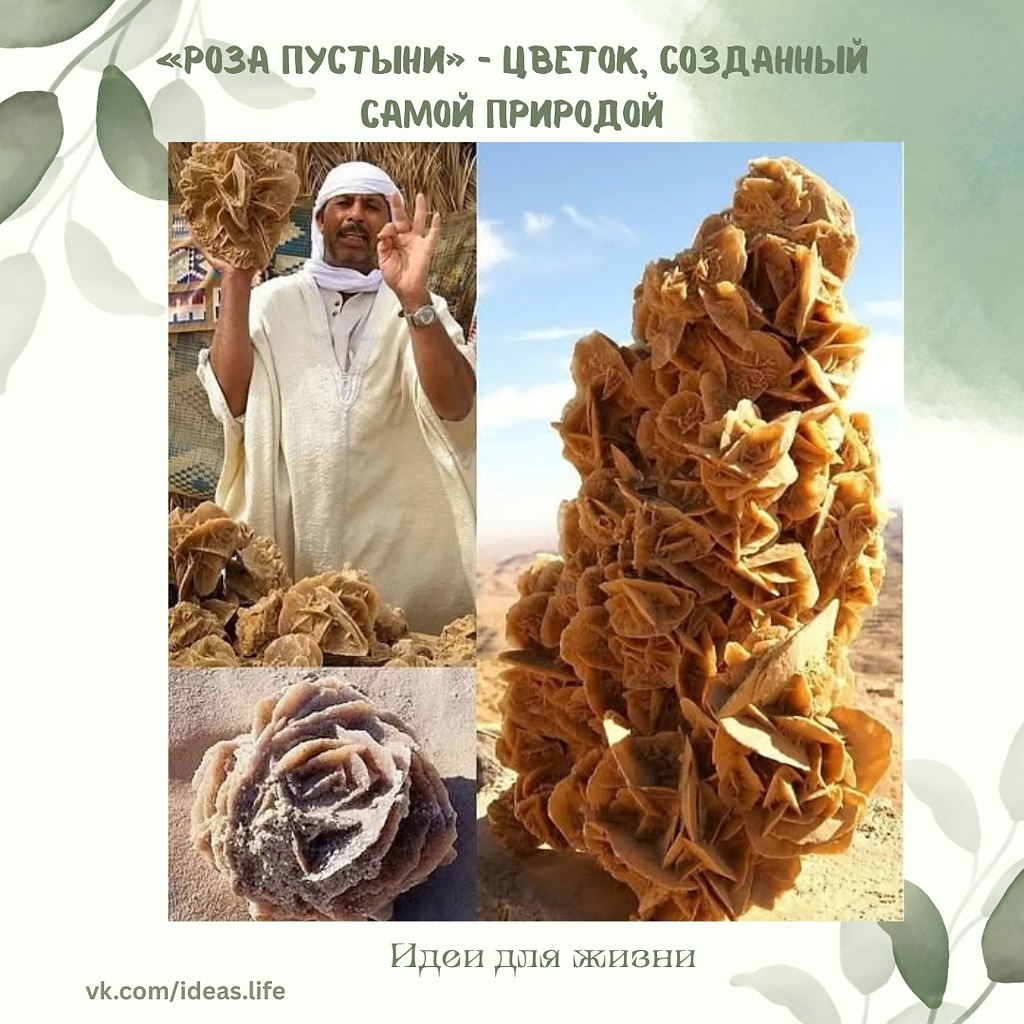 Настоящее чудо, которое невозможно повторить: минерал “Роза пустыни” — это не просто камень, а ...
