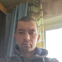 ������, 44 ����, �����