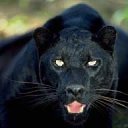 ���� ������, �������, 59 ��� - ��������� 27 ������� 2023 � ������ ���� ����������