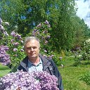 ���� �������, �����, 62 ���� - ��������� 2 ������ 2024 � ������ ���� ����������