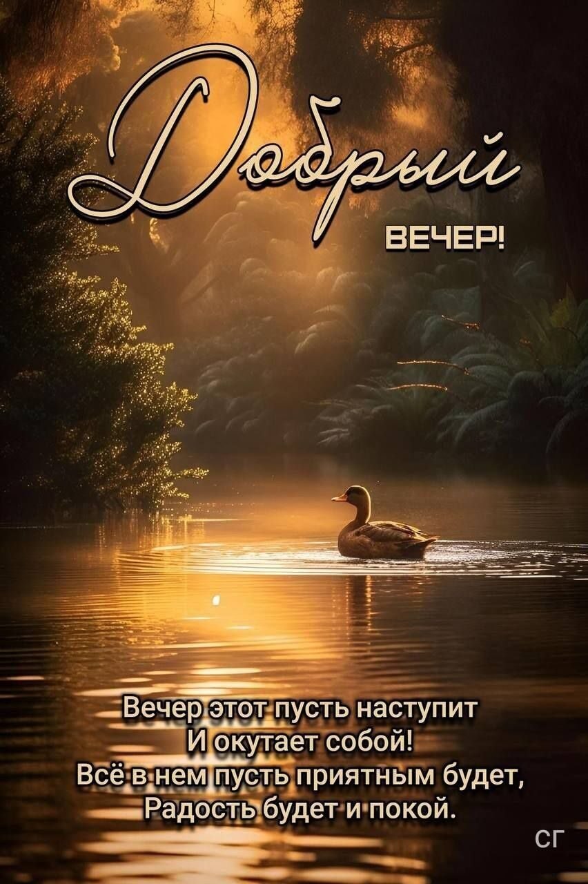  - 15  2025  23:41