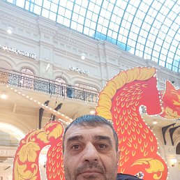 , 48, -