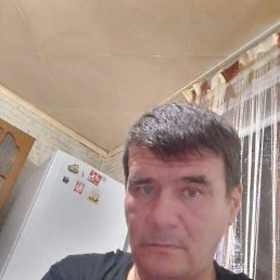 ���� �����, ���������, 56 ��� - ��������� 6 �������� 2026