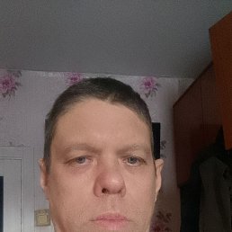 ���� ������, �����, 40 ��� - ��������� 1 ������ 2026