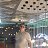 ���� Pavel, ���������, 27 ��� - ��������� 9 ������� 2026