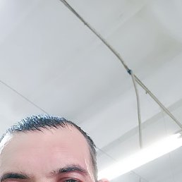 , 34, 