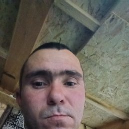 �����, 37 ���, ������