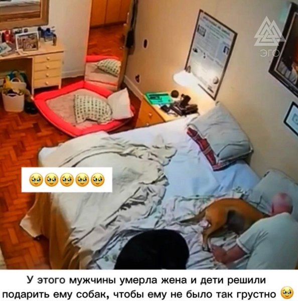 Вы только посмотрите как он заботится о них - 2