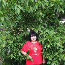 ���� ����, ��������, 56 ��� - ��������� 28 ���� 2025 � ������ ���� ����������