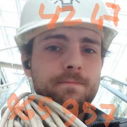 ��������, 37 ���, ������