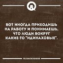  , -, 64  -  26  2025    