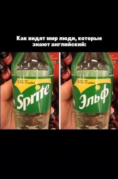    ,   .