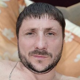 ����, �������, 41 ���