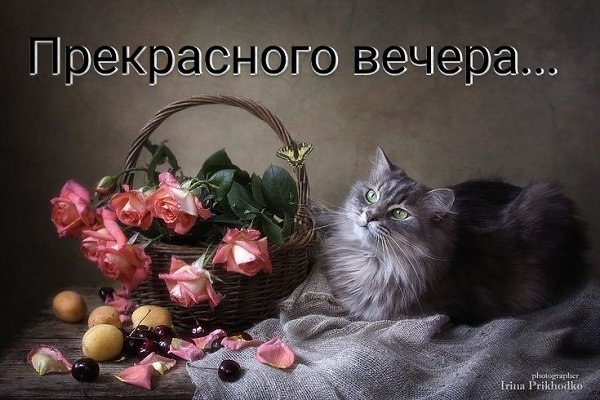 ОБО ВСЕМ - 25 сентября 2025 в 18:59