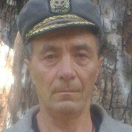 �������, �������, 65 ���