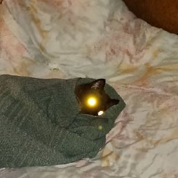 ������, �����-���������, 40 ���