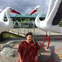 ���� ���������, ���������, 66 ��� - ��������� 18 ������� 2025 � ������ ���� ����������