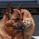 ���� �����, ������, 67 ��� - ��������� 25 ������ 2024 � ������ ������ ��������