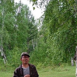 �����, �����, 49 ���