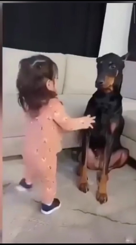 ������� ��������� � ���� ������
