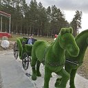 ���� �����, ������, 49 ��� - ��������� 9 ������ 2023 � ������ ���� ����������