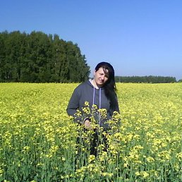 ���������, 44 ����, �����������