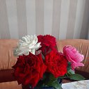 ���� �������, ������, 37 ��� - ��������� 5 ���� 2025 � ������ ���� ����������